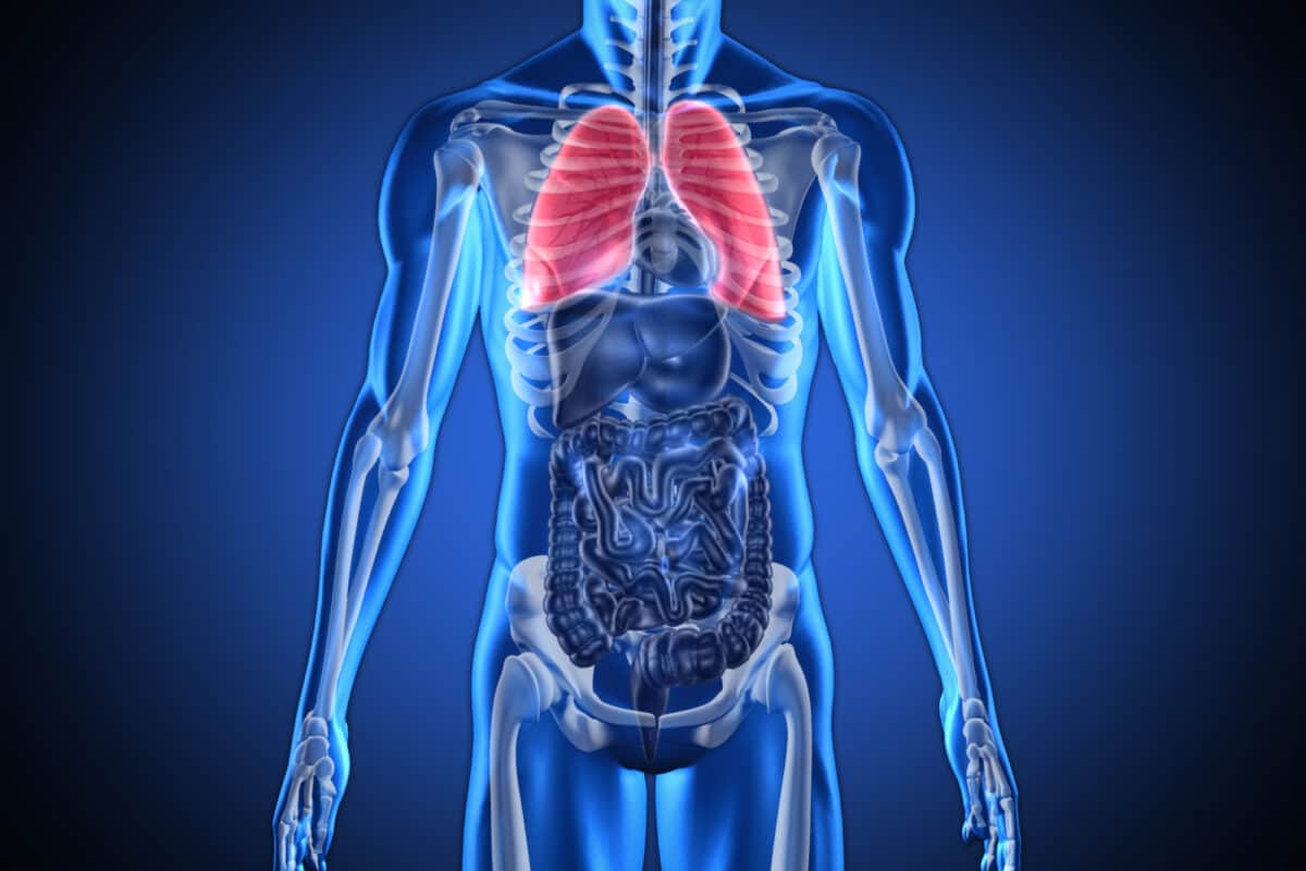What Are the Symptoms of Lung Cancer?