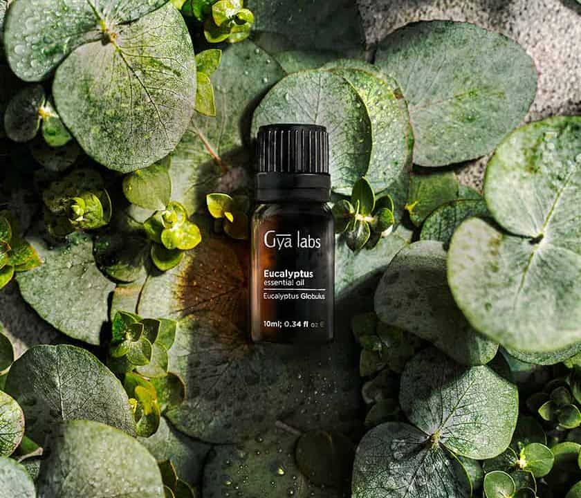 https://digitalhealthbuzz.com/wp-content/uploads/2022/12/eucalyptus-oil-840x720.jpg