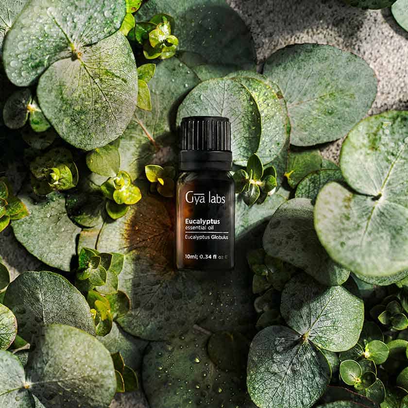 Best Benefits of Eucalyptus Oil For Hair And Skin Health Digital