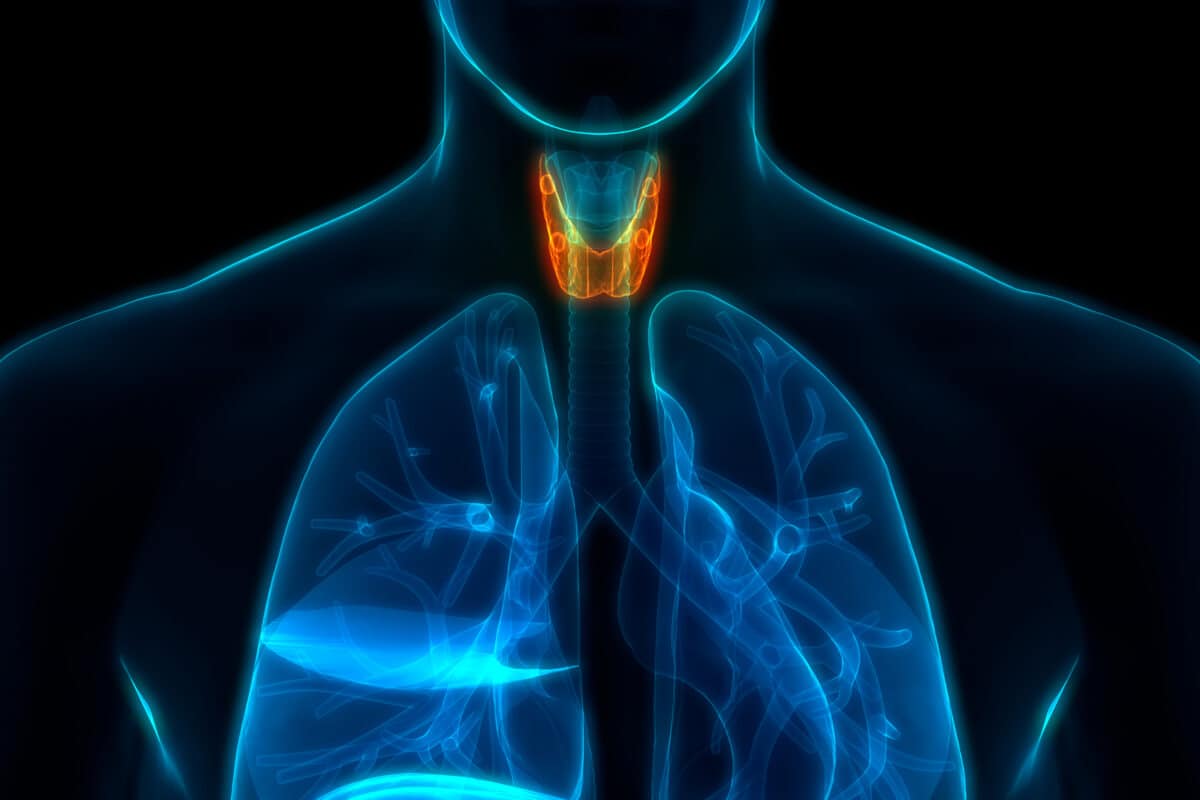 Advances in Research for Thyrotropin-Dependent Thyroid Cancer